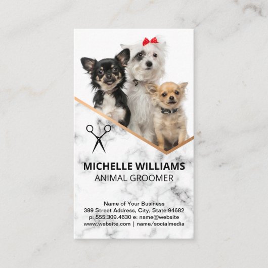 座っている犬 | トリマー 名刺 (正面)