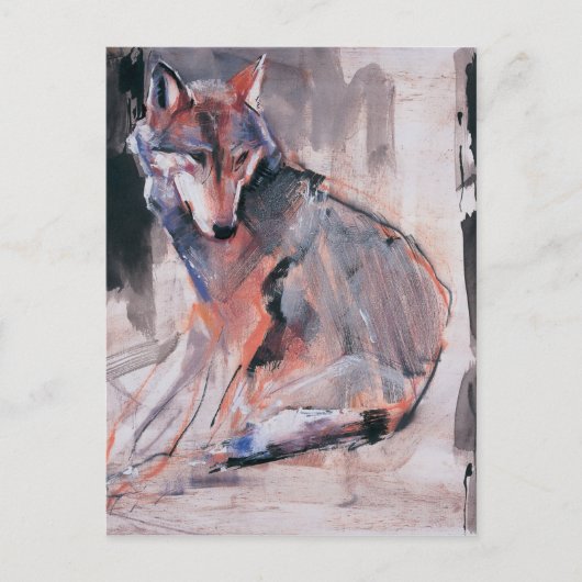 座っている狼2000 ポストカード (正面)