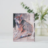 座っている狼2000 ポストカード (スタンド正面)