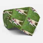 座って茶色と白のキツネテリア ネクタイ (ロール)