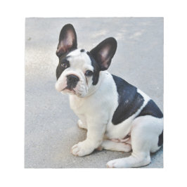 座っフランスのたブルドッグ ノートパッド