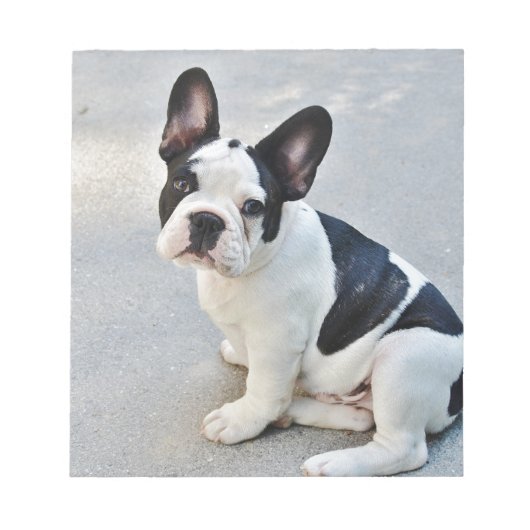座っフランスのたブルドッグ ノートパッド (正面)