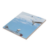 座っ飛んでいるているカモメの鳥の青い空 タイル (側面)