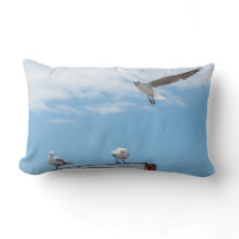 座っ飛んでいるているカモメの鳥の青い空