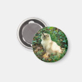 座りかわいらし猫 マグネット (正面/裏面)