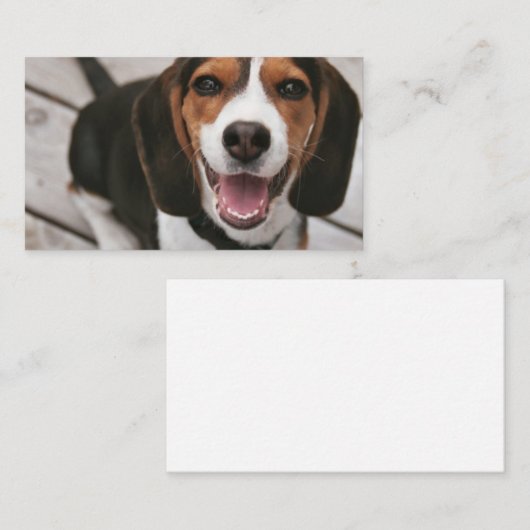 座り込み(_P) 名刺 (正面/裏面)