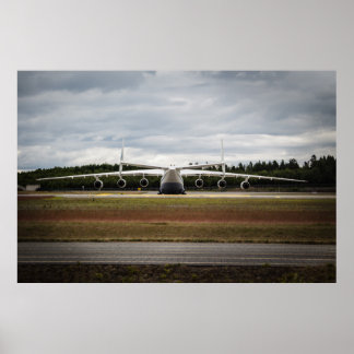 座るアヒル ポスター