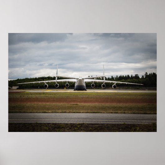 座るアヒル ポスター (正面)