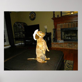 座るダッかわいらしシュントのポスター ポスター