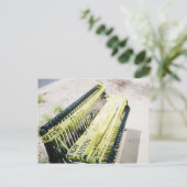 座る場所を見る ポストカード (スタンド正面)