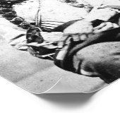 座る牛 ポスター (角)