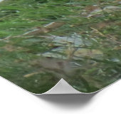 座る白鳥のポスター ポスター (角)