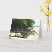 座礁させた8x10 2 カード (黄色い花)