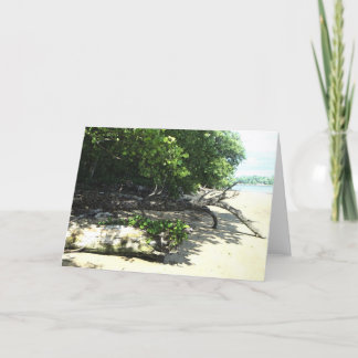 座礁させた8x10 2 カード