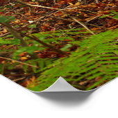 庫里木 |ニュージーランド ポスター (角)