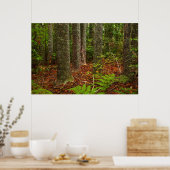 庫里木 |ニュージーランド ポスター (キッチン)