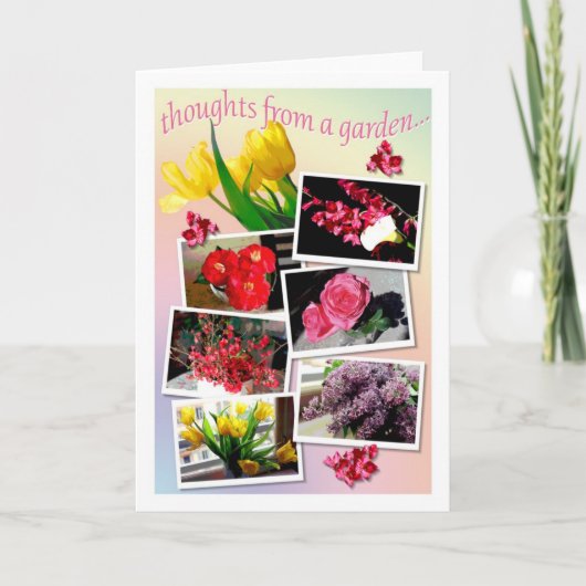 庭からの想い… カード (正面)