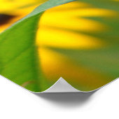 庭が広がるにつれて ポスター (角)