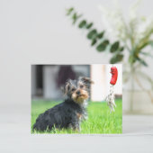 庭でかわいいベビーの小犬遊が飼う ポストカード (スタンド正面)