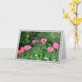 庭でサンゴの色をしたケシの六つの写真 カード (黄色い花)