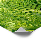 庭でシダの葉の花を閉フランスのじる ポスター (角)