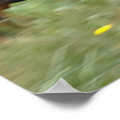 庭で動く ポスター (角)