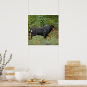 庭で動く ポスター (キッチン)