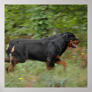 庭で動く ポスター