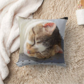 庭で寝る猫 クッション (ブランケット)