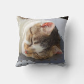 庭で寝る猫 クッション (裏面)