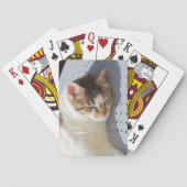 庭で寝る猫 トランプ (裏面)