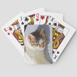 庭で寝る猫 トランプ