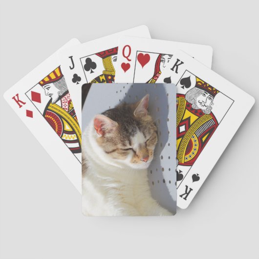 庭で寝る猫 トランプ (裏面)