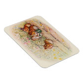 庭で植わっているモルモット マグネット (右側)