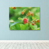 庭で育つ赤いウッドランドのイチゴ キャンバスプリント (インサイチュ (ウッドフロア))