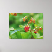 庭で育つ赤いウッドランドのイチゴ キャンバスプリント (正面)