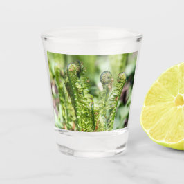 庭で若いシダを目覚めさせる ショットグラス