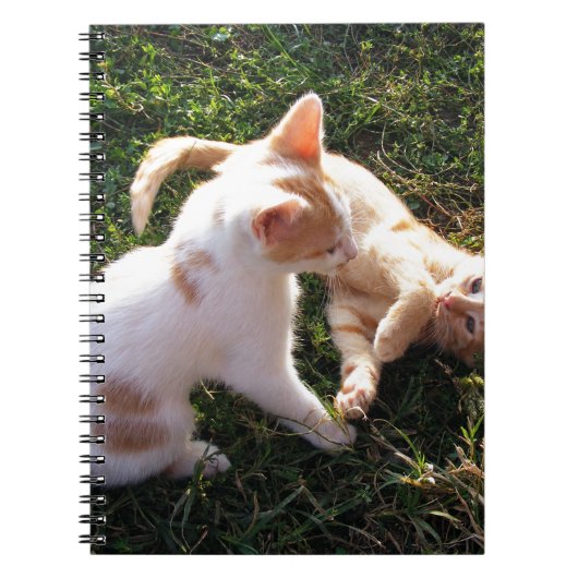 庭で遊ぶ子猫たち ノートブック (正面)