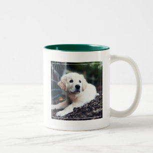 庭で遊んでいるラブラドールの子犬 ツートーンマグカップ