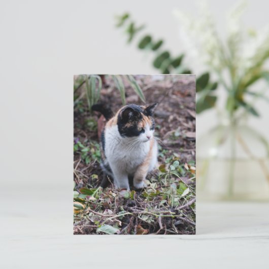 庭で – はがき (スタンド正面)