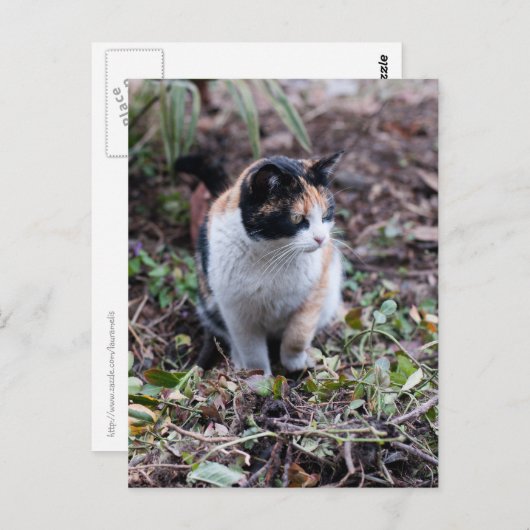 庭で – はがき (正面/裏面)