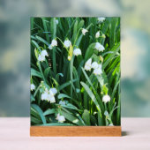 庭で… アクリルサイン (ニュートラル)