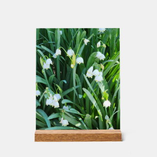 庭で… アクリルサイン