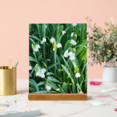 庭で… アクリルサイン (ウェディング)