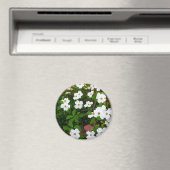 庭で～ハナミズキの花 マグネット (インサイチュ (食洗機))