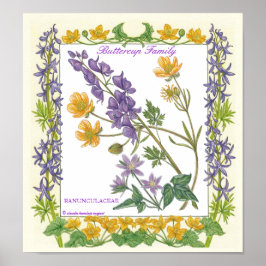 庭で～バターカップ家族ポスター ポスター