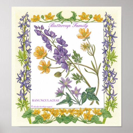 庭で～バターカップ家族ポスター ポスター (正面)