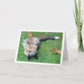 庭にいる狐 カード (正面)