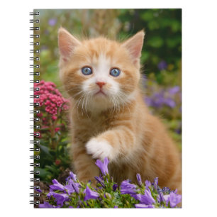 庭にかわいいショウガの子猫 ノートブック