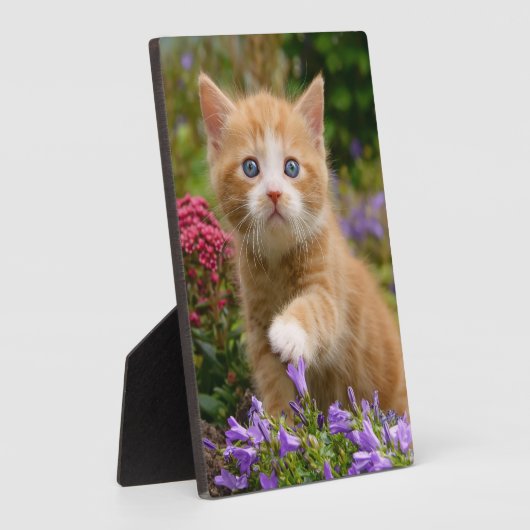 庭にかわいいショウガの子猫 フォトプラーク (側面)